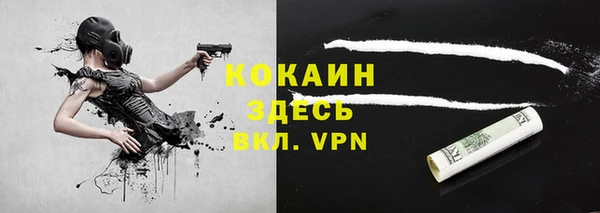 спиды Медвежьегорск