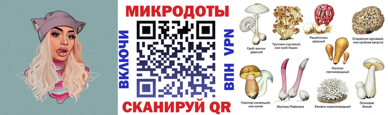 наркотики  Циолковский  Галлюциногенные грибы Magic Shrooms 